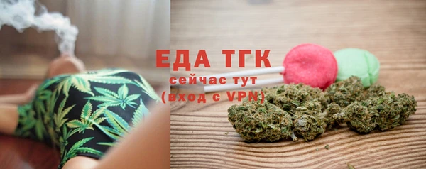 гидра Горняк