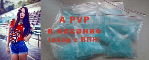 прущие крисы Вяземский