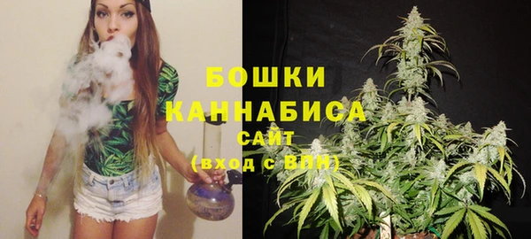прущие крисы Вяземский