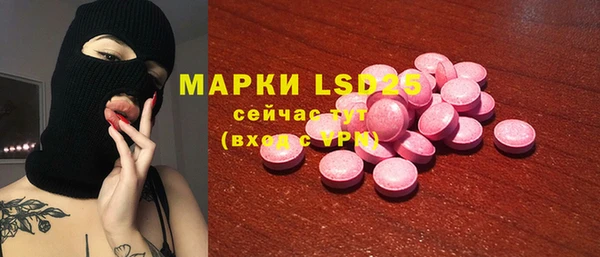 гидра Горняк