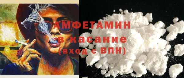 гидра Горняк